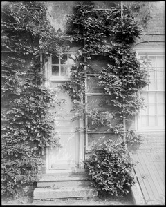 Philadelphia, Pennsylvania, 4601 North 18th Street, exterior detail, window and trellis, James Logan house, 1727, "Stenton"