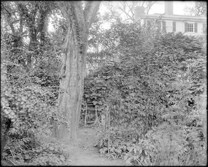 Salem, 14 Cambridge Street, views, garden, west side, David P. Waters house
