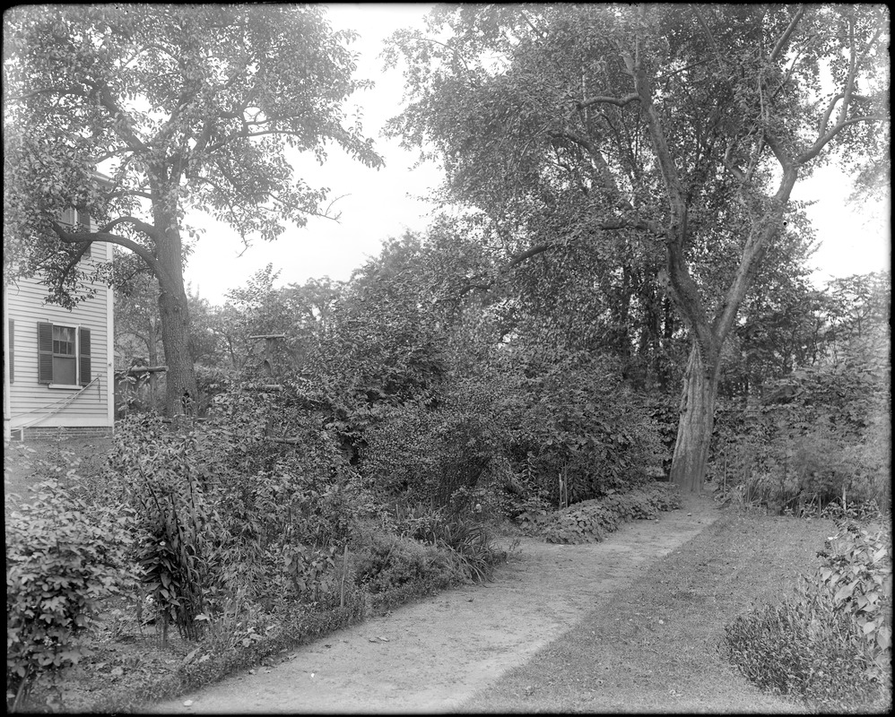 Salem, 14 Cambridge Street, views, David P. Waters house