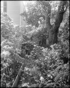 Salem, 314 Essex Street, views, garden, Susan E. Osgood house