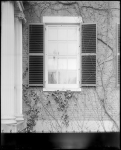Salem, 35 Chestnut Street, exterior detail, window, Pickering Dodge house