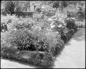 Salem, 26 Chestnut Street, views, garden, Humphrey Devereux, later Simpson estate