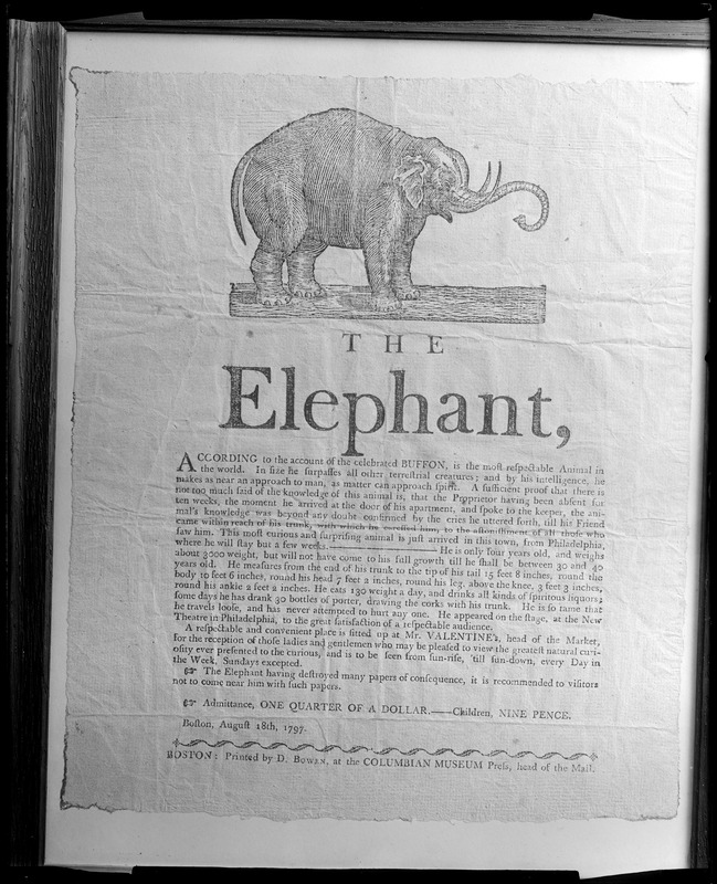 Printed, broadside, advertisement of first elephant exhibited in America