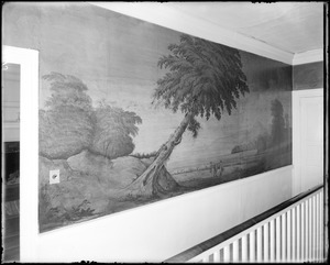 Salem, 393 Essex Street, interior detail, wallpaper, Timothy Lindall house, sixth scene, upper hall