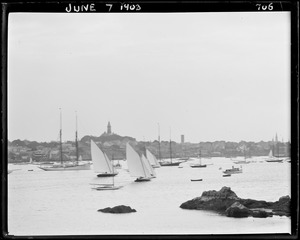 Sailboats, Marblehead Harbor, photographed from Grey Court landing