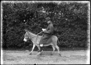 Man riding C. W. Parker's donkey "Bessie," Marblehead, MA