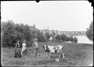 Charles W. Parker, Mary Parker with dog, and cow on Marblehead Neck, MA