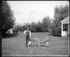 Charles S. Parker with dog and donkey, Marblehead, MA