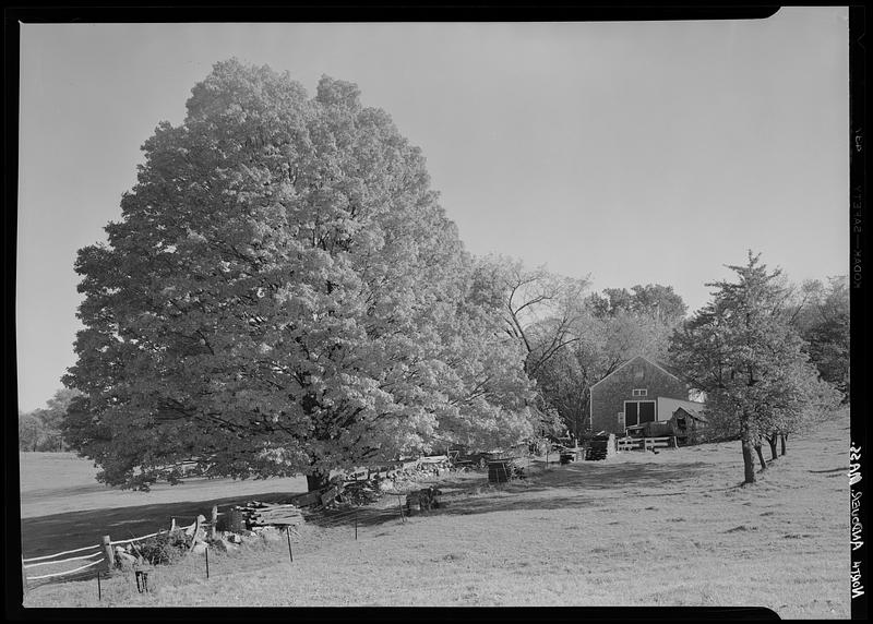 North Andover, autumn