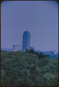 Prudential Tower seen beyond treetops from Arnold Arboretum, Boston