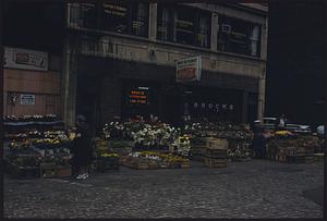 Flowers for sale, Faneuil Hall Square, Boston