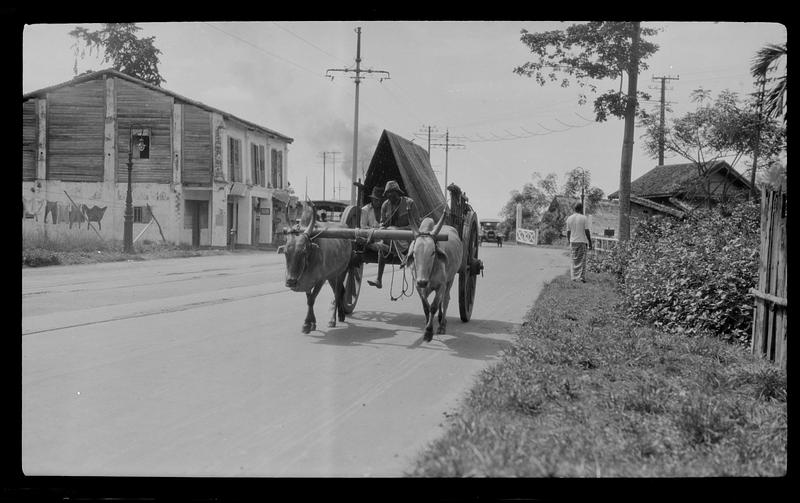 Ox cart, Singapore