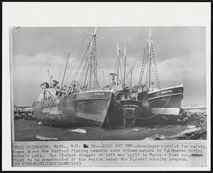 Fairhaven, Mass. - High and Dry - Seemingly huddled for safety, these three New Bedford fishing vessels were driven ashore in Fairhaven during today's gale. The 73-foot dragger at left was built in Maine a year ago, first to be constructed in the region under the Federal subsidy program.