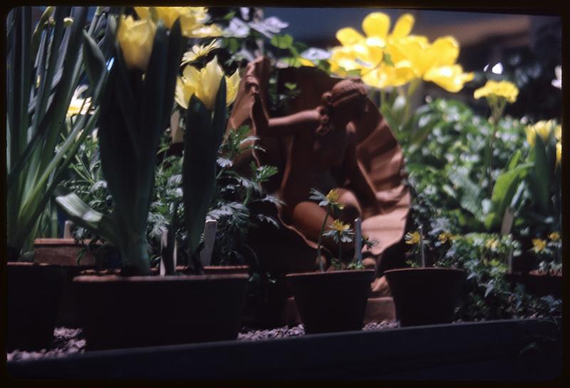 Yellow flowers, figurine in foreground
