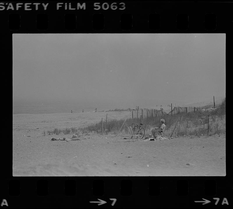 Plum Island refuge and sunbathers