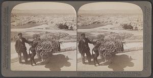 Areopagus (Mars' Hill), and Theseion, N. W. from Athens, toward Sacred Way to Eleusis