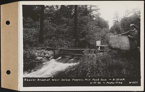 Beaver Brook at weir below Pepper's mill pond dam, Ware, Mass., 8:30 AM, Jun. 12, 1936