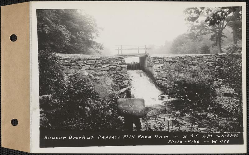 Beaver Brook at Pepper's mill pond dam, Ware, Mass., 845 AM, Jun. 27