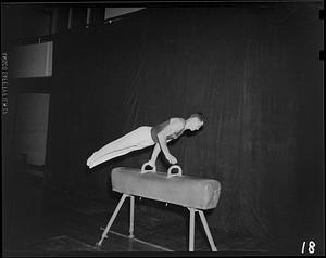 SC Gymnast on the pommel horse