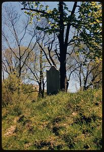 Central Burying Ground, stone & post