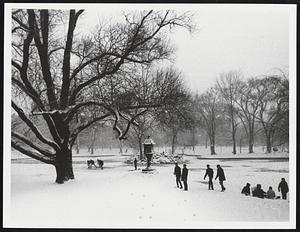 Public Garden's. Weather storms