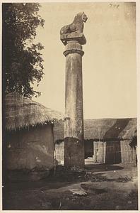 Ashoka pillar with lion capital at Vaishali, India
