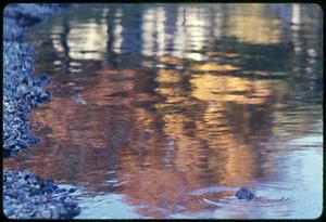 Autumn reflections, J. Pond