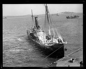 Fish trawler Surge - iced up