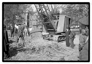 Tree removal
