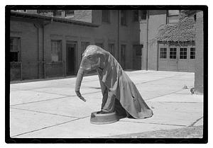 Boston Park Department Circus