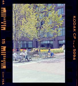 Building courtyard, Boston
