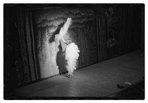 Follies
