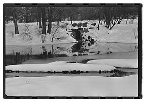 Snow pictures - Fenway