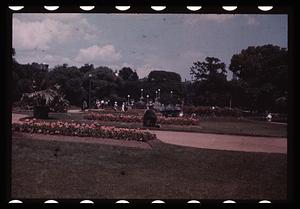 Boston Public Garden