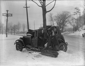 Auto meets tree, Norumbega Park, Auburndale