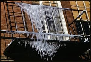 Icicles on fire escape, Cambridge, Massachusetts