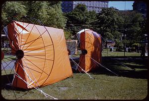 Orange art display, Boston, Public Garden