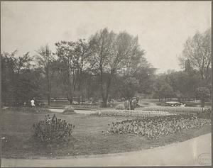 Boston, Massachusetts, Public Garden in tulip time