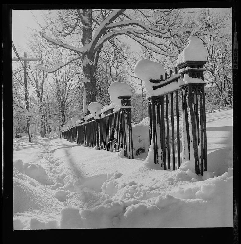 Snow on High St.