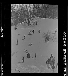 March's Hill sledders
