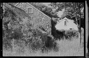Overgrown houses, Nantucket