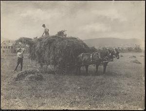 Two men on a hay cart