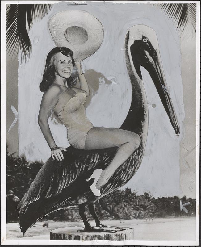 Miss Judy Cornelius