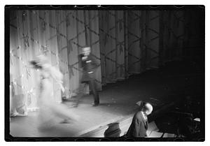 Follies