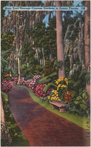 Main trail through Cypress Gardens in sunny Florida