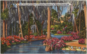 Azalea fringed lagoon in Cypress Gardens in sunny Florida