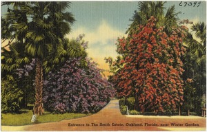 Entrance to the Smith Estate, Oakland, Florida, near Winter Garden