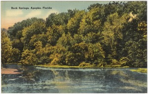 Rock Springs, Apopka, Florida