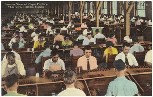 Interior view of cigar factory, Ybor City, Tampa, Florida
