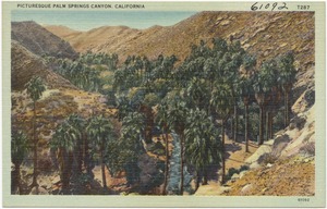 Picturesque Palm Springs Canyon, California
